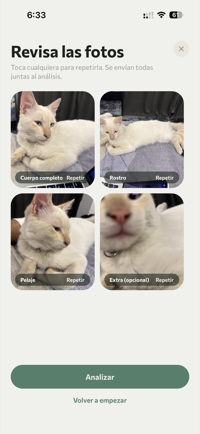 Pantalla de revisión de las cuatro fotos antes de enviarlas al análisis